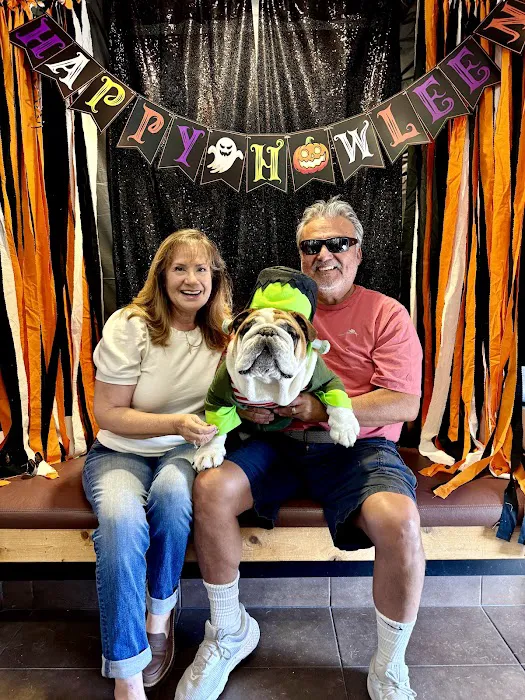 Newport Harbor Animal Hospital Picture 3