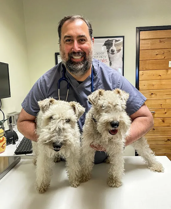 Newport Harbor Animal Hospital Picture 5