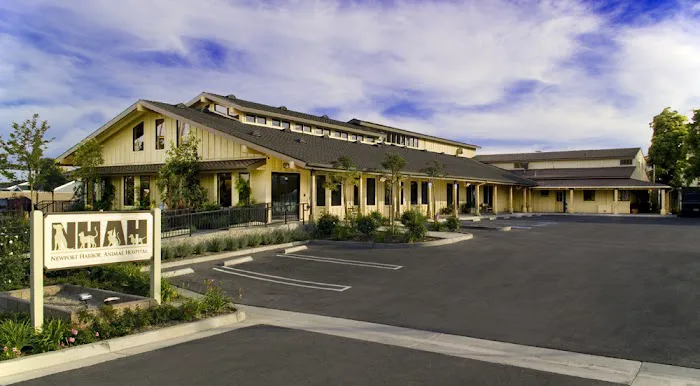 Newport Harbor Animal Hospital Picture 2
