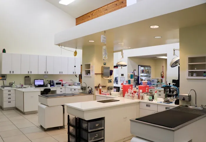 Newport Harbor Animal Hospital Picture 1