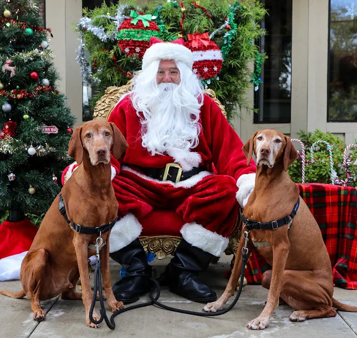 Newport Harbor Animal Hospital Picture 7