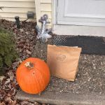 Pet Wants South Jersey