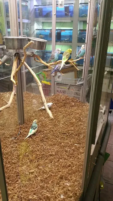 Gail's Pets Picture 3