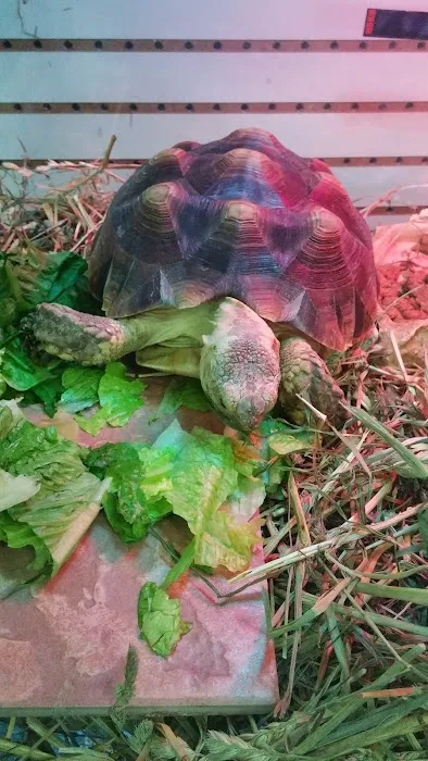 Gail's Pets Picture 8