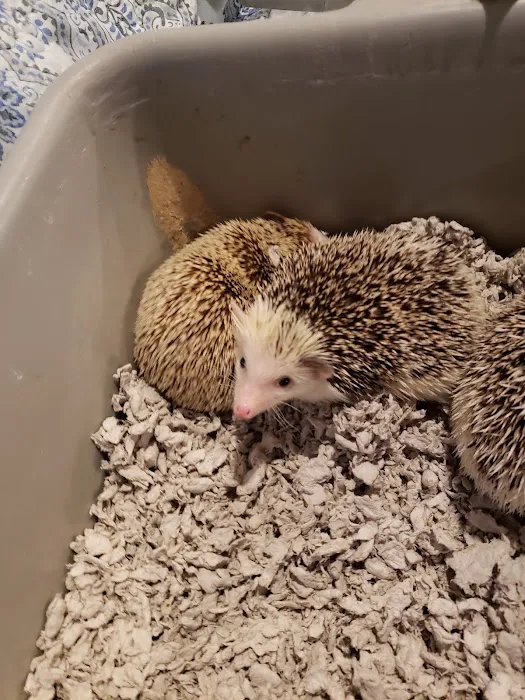 Gail's Pets Picture 9