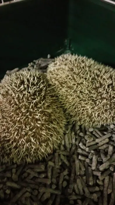 Gail's Pets Picture 6