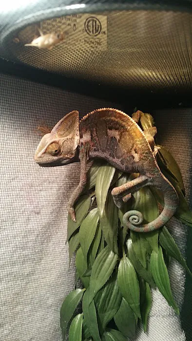 Gail's Pets Picture 4