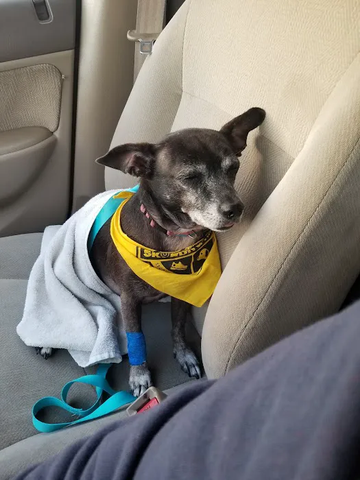 Banfield Pet Hospital Picture 9