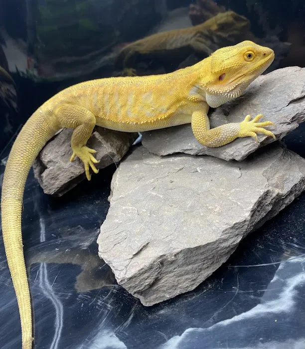 People's Pets Picture 6