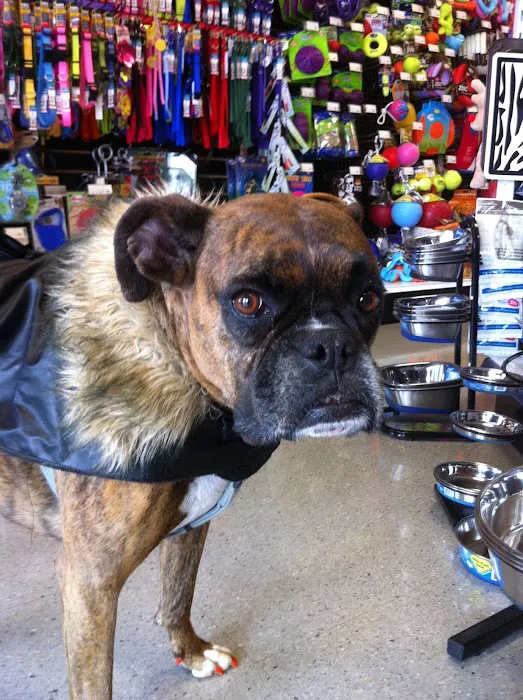 Bark Ave Pet Supplies Picture 10