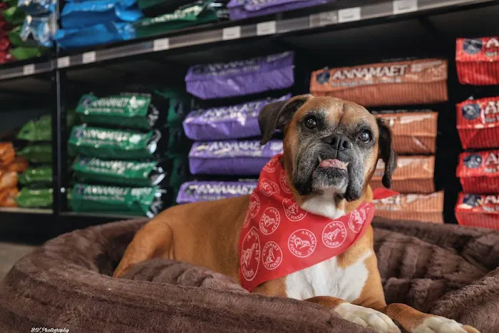 Bark Ave Pet Supplies Picture 3