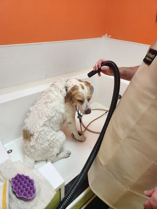 Bark Ave Pet Supplies Picture 8