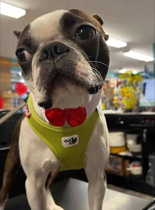 Bark Ave Pet Supplies Picture 6