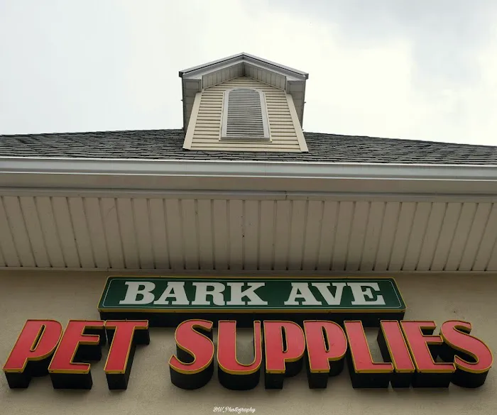 Bark Ave Pet Supplies Picture 7