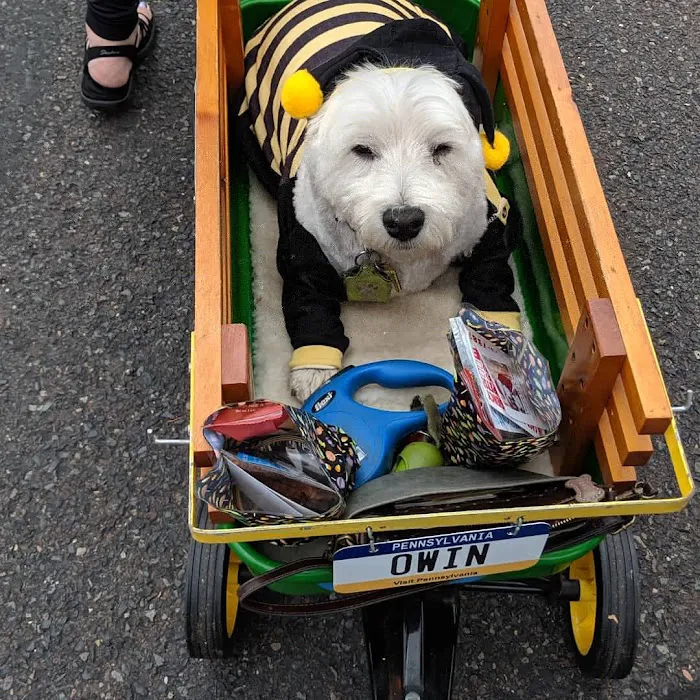 Bark Ave Pet Supplies Picture 2