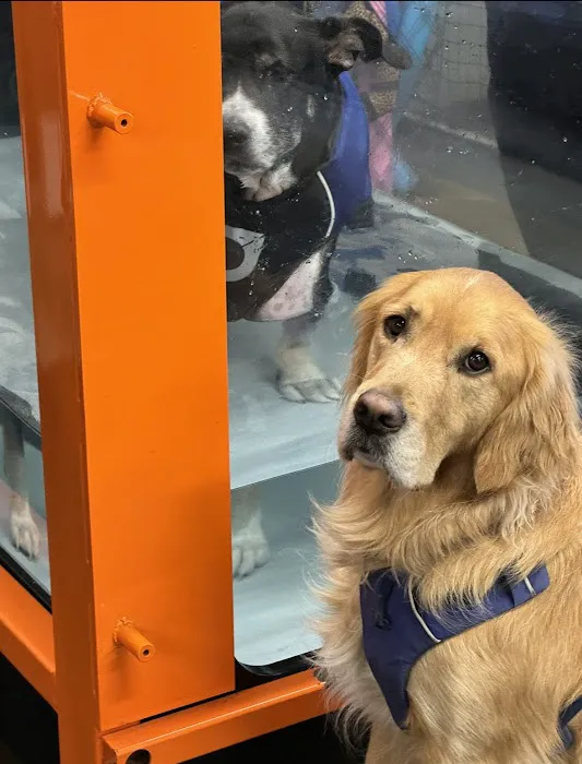 Animal Wellness Center of OC Picture 1