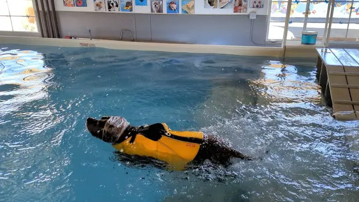 Animal Wellness Center of OC Picture 10