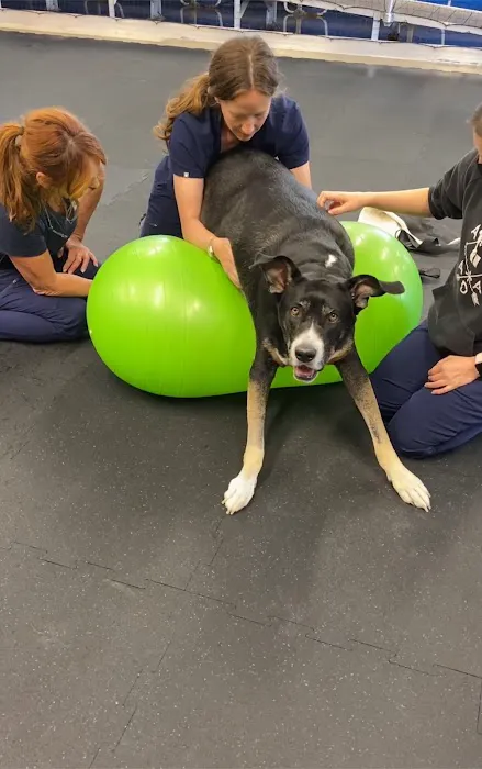 Animal Wellness Center of OC Picture 2
