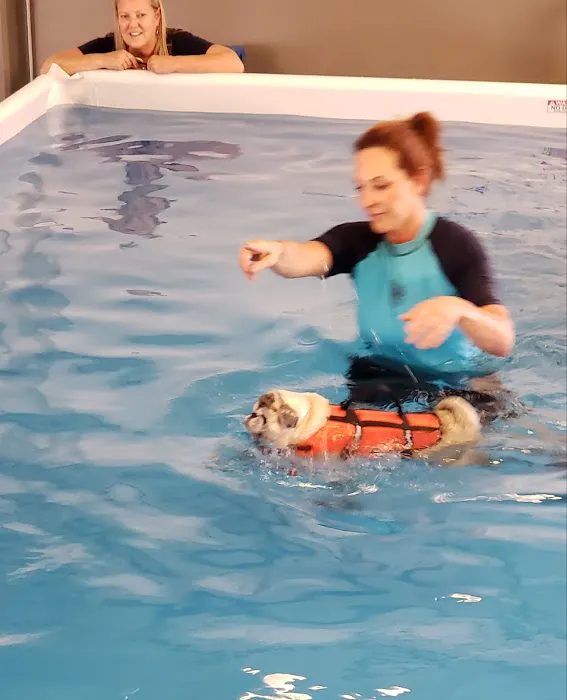 Animal Wellness Center of OC Picture 9