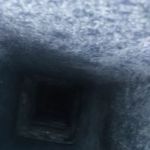 North Penn Pet Sitter Services