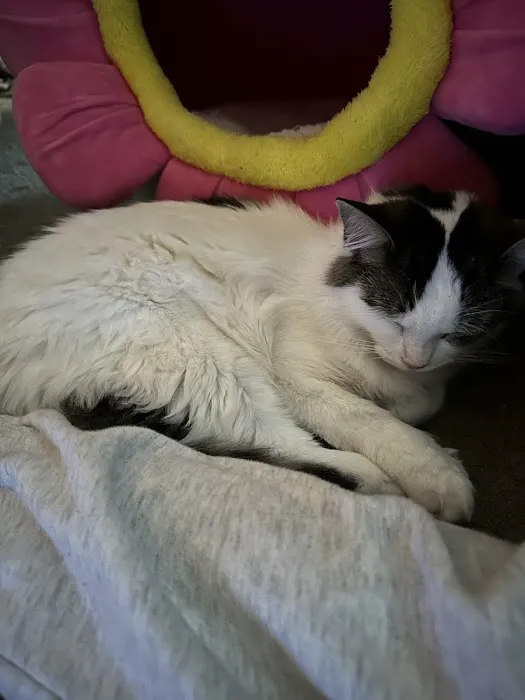 Pets Plus - Lansdale Picture 7