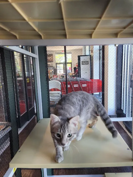 Pets Plus - Lansdale Picture 8