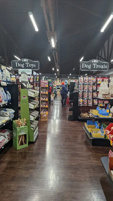 Pets Plus - Lansdale Picture 5