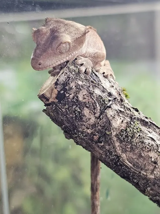 More Than Fish Aquarium and Pets Picture 6