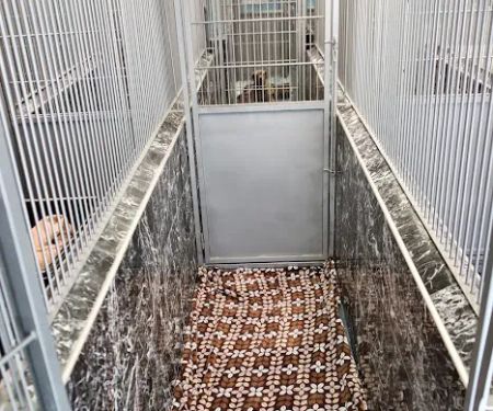 Back Bay Veterinary Hospital
