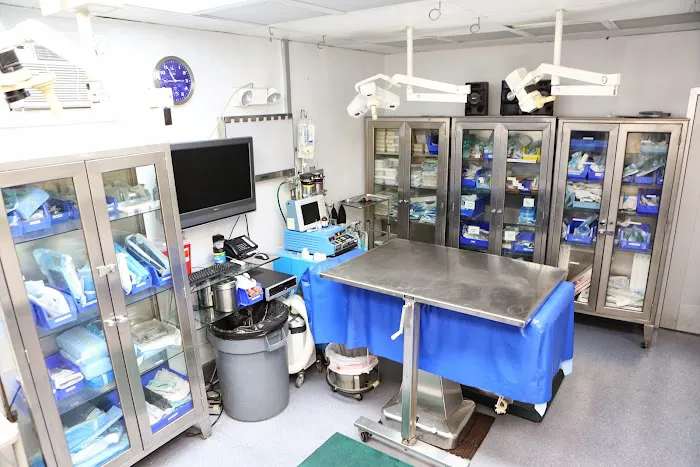 Back Bay Veterinary Hospital Picture 2