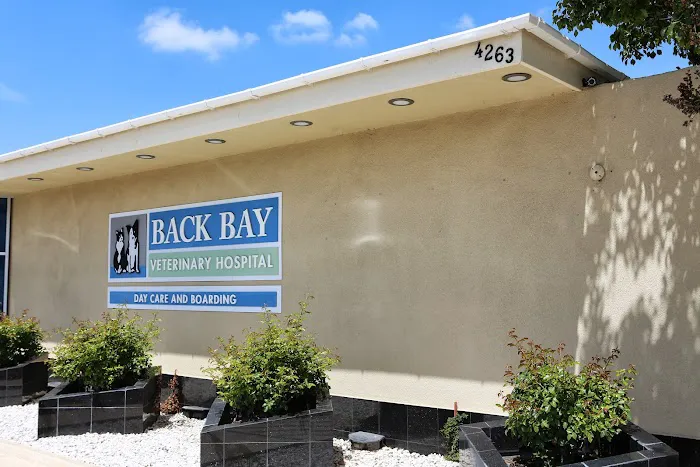 Back Bay Veterinary Hospital Picture 7