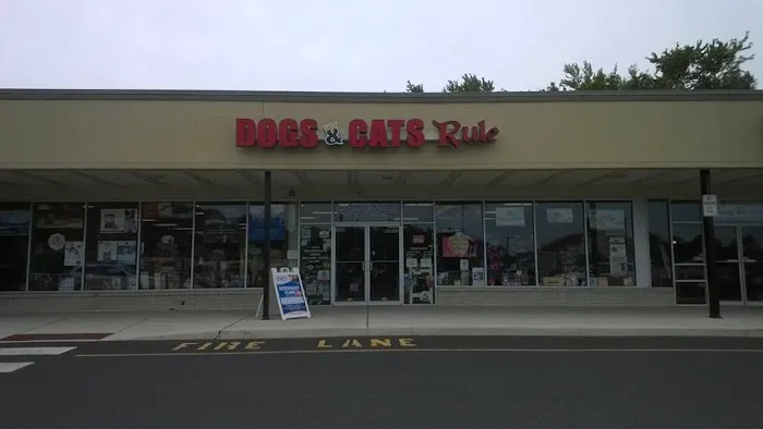 Dogs & Cats Rule Picture 3