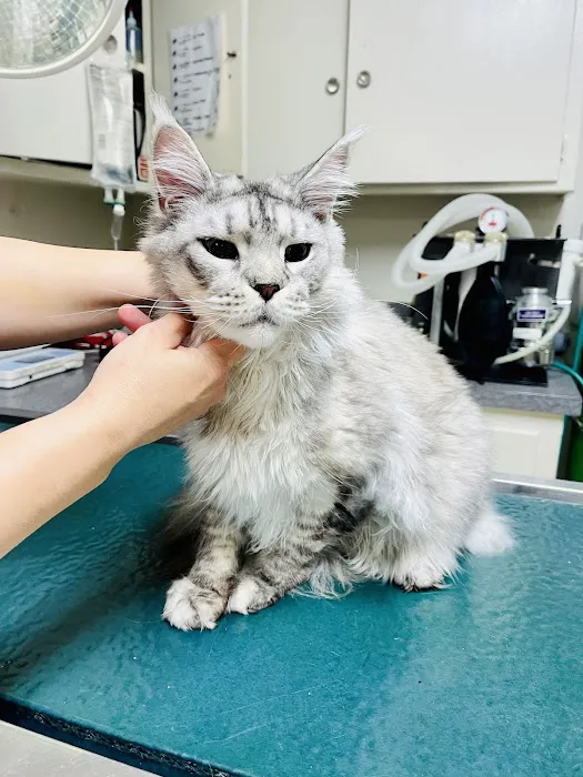 Mesa West Pet Hospital Picture 8