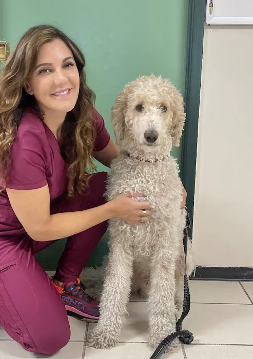 Mesa West Pet Hospital Picture 5