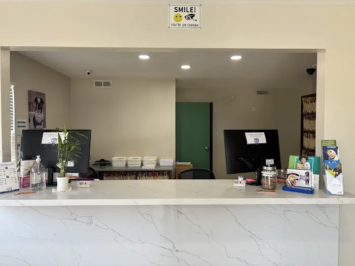 Mesa West Pet Hospital Picture 4