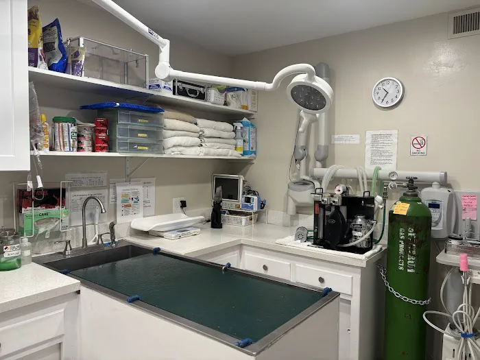 Mesa West Pet Hospital Picture 2