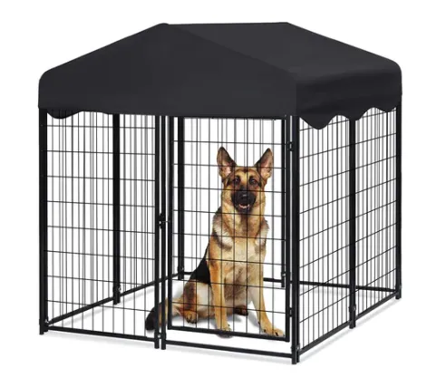 juicys Dog Boutique Picture 1