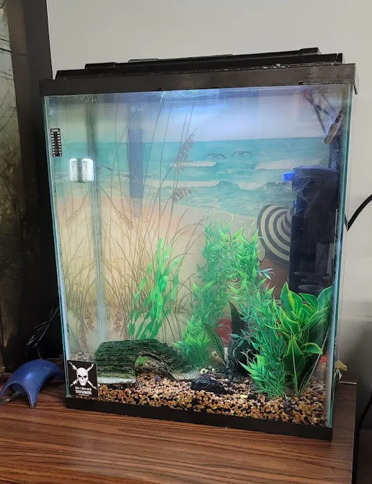 Aquatic Start Aquarium Service Picture 1