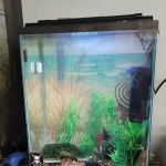 Aquatic Start Aquarium Service