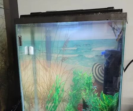 Aquatic Start Aquarium Service