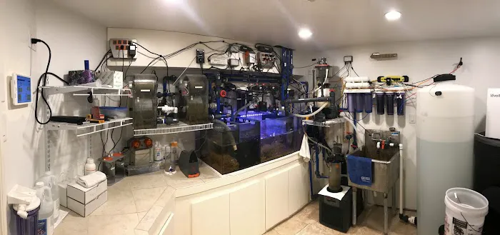Aquatic Start Aquarium Service Picture 10
