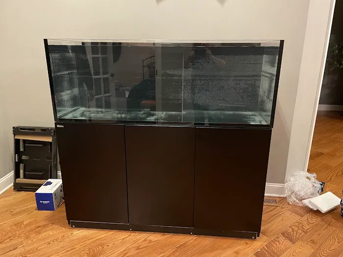 Aquatic Start Aquarium Service Picture 7