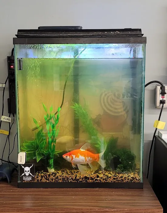Aquatic Start Aquarium Service Picture 2