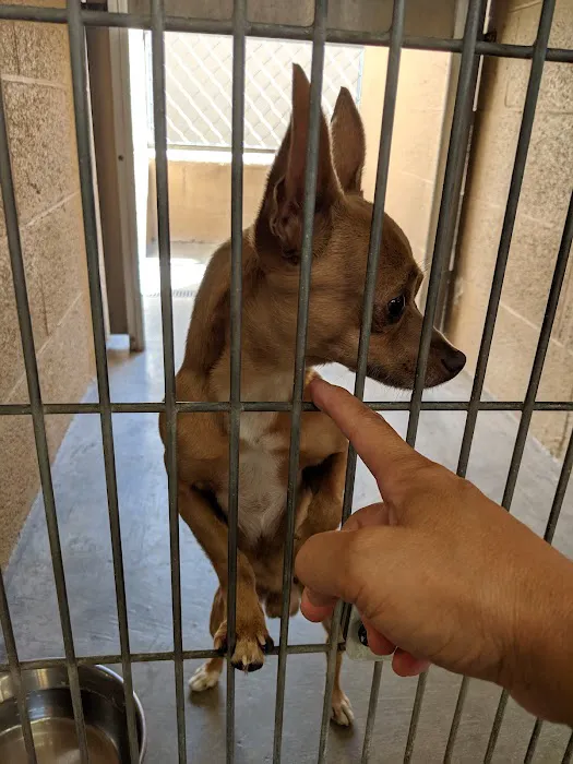 AAA Animal Hospital Picture 6