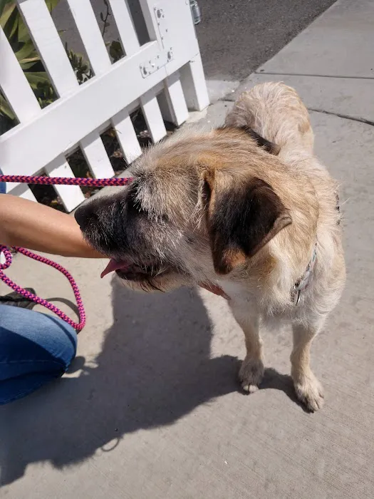 AAA Animal Hospital Picture 7