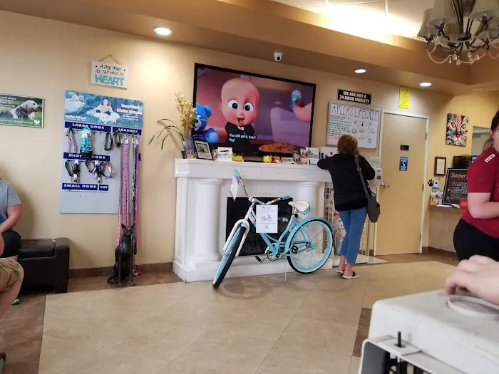 AAA Animal Hospital Picture 4