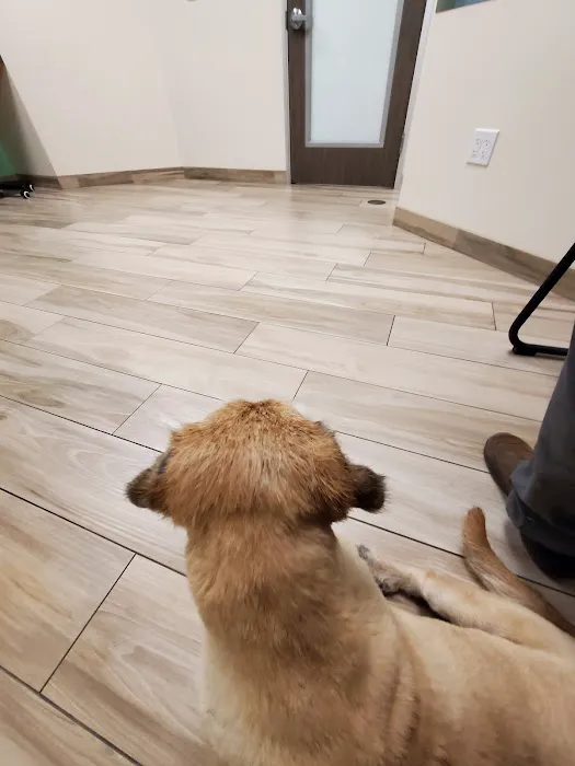 VCA PetPoint Medical Center and Resort Picture 3