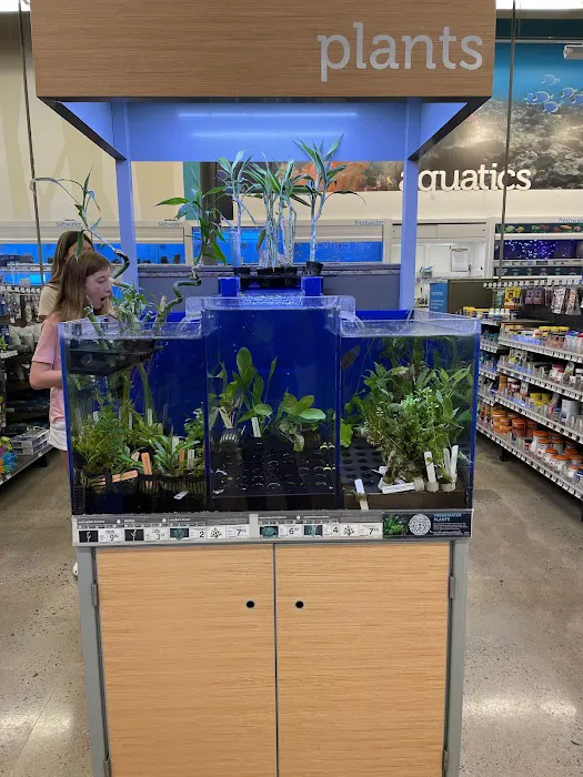 Petco Picture 2