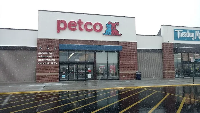 Petco Picture 7