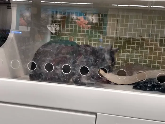 Petco Picture 8